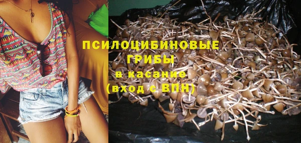 гидропоника Бугульма