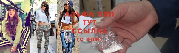 PSILOCYBIN Бронницы