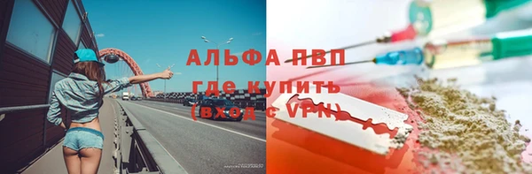 стафф Бородино