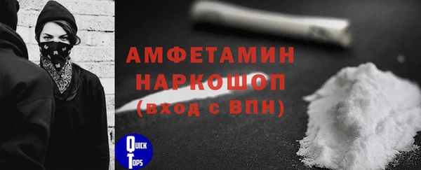 стафф Бородино