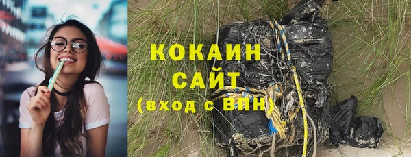 стафф Бородино