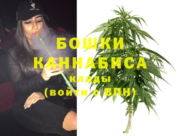 PSILOCYBIN Бронницы