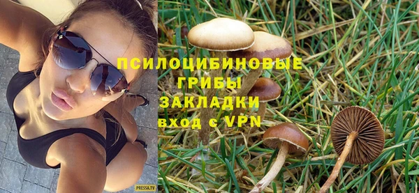 PSILOCYBIN Бронницы