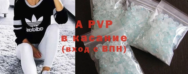 стафф Бородино