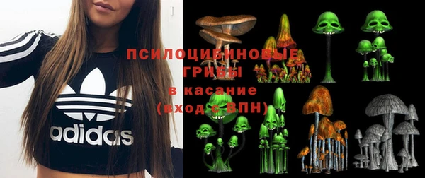 гидропоника Бугульма