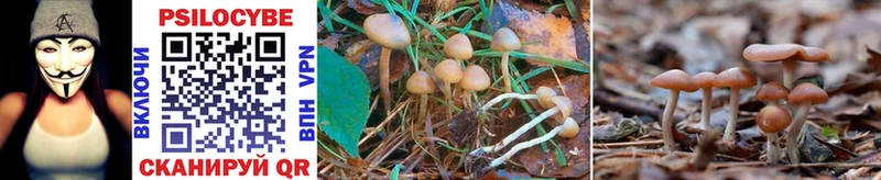 Псилоцибиновые грибы MAGIC MUSHROOMS  Яровое 